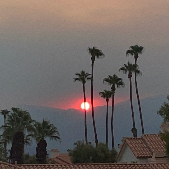 🤗 - Picture 12 of 17